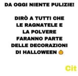 FB_IMG_1635342564163.jpg