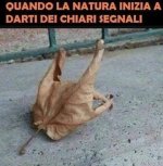FB_IMG_1635342322803.jpg