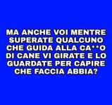 FB_IMG_1635428703886.jpg
