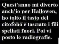 FB_IMG_1635519836917.jpg