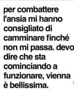 FB_IMG_1635510611421.jpg