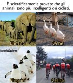 FB_IMG_1635510045256.jpg