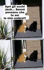 FB_IMG_1635586943720.jpg