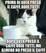FB_IMG_1635760443143.jpg