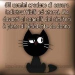 FB_IMG_1635760157313.jpg