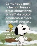 FB_IMG_1635956436558.jpg