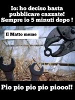FB_IMG_1636038273194.jpg