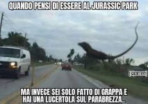 FB_IMG_1635924090506.jpg