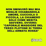 FB_IMG_1636124805358.jpg