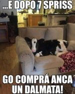 FB_IMG_1636124793462.jpg