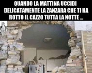 FB_IMG_1636100050811.jpg