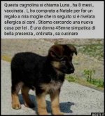 FB_IMG_1636099327484.jpg