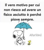 FB_IMG_1636032843042.jpg