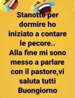 FB_IMG_1636186097931.jpg