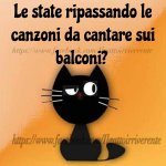 FB_IMG_1636188394600.jpg