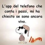FB_IMG_1636185647498.jpg