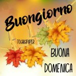 Buongiorno-buona-domenica-buona-giornata-immagini-buon-giorno-divertenti-gratis-WhatsApp-Faceb...jpg