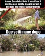 FB_IMG_1636308714758.jpg