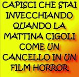 FB_IMG_1636276561762.jpg