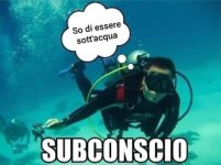 FB_IMG_1636389673934.jpg