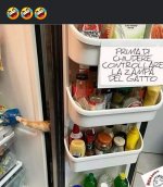 FB_IMG_1636388219405.jpg