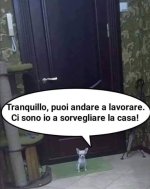 FB_IMG_1636388197611.jpg