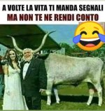 FB_IMG_1636388181455.jpg