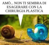 FB_IMG_1636482446989.jpg