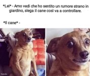 FB_IMG_1636481622958.jpg