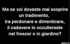 FB_IMG_1636474696850.jpg
