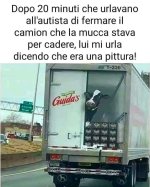 FB_IMG_1636474263925.jpg