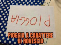 FB_IMG_1636465440396.jpg
