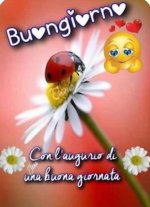 Screenshot_20211110-084618_Pinterest.jpg