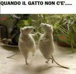 FB_IMG_1636563587225.jpg