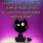 FB_IMG_1636536603131.jpg