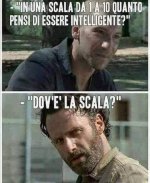 FB_IMG_1636362048540.jpg