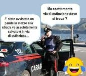 FB_IMG_1636637705501.jpg