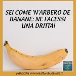 FB_IMG_1636464871141.jpg