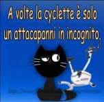 FB_IMG_1636737375845.jpg
