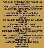 FB_IMG_1636701550837.jpg