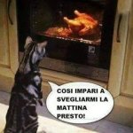 FB_IMG_1636808586893.jpg