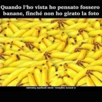 FB_IMG_1636808128998.jpg