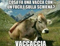 FB_IMG_1636961432705.jpg