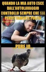 FB_IMG_1637143344913.jpg
