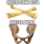 FB_IMG_1637224354930.jpg