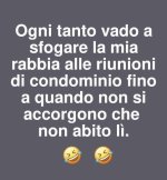 FB_IMG_1637224240547.jpg