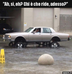 1637302228472.png