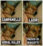 FB_IMG_1637399219628.jpg