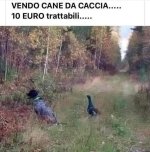 FB_IMG_1637495912636.jpg