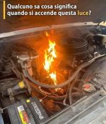 FB_IMG_1637488937437.jpg